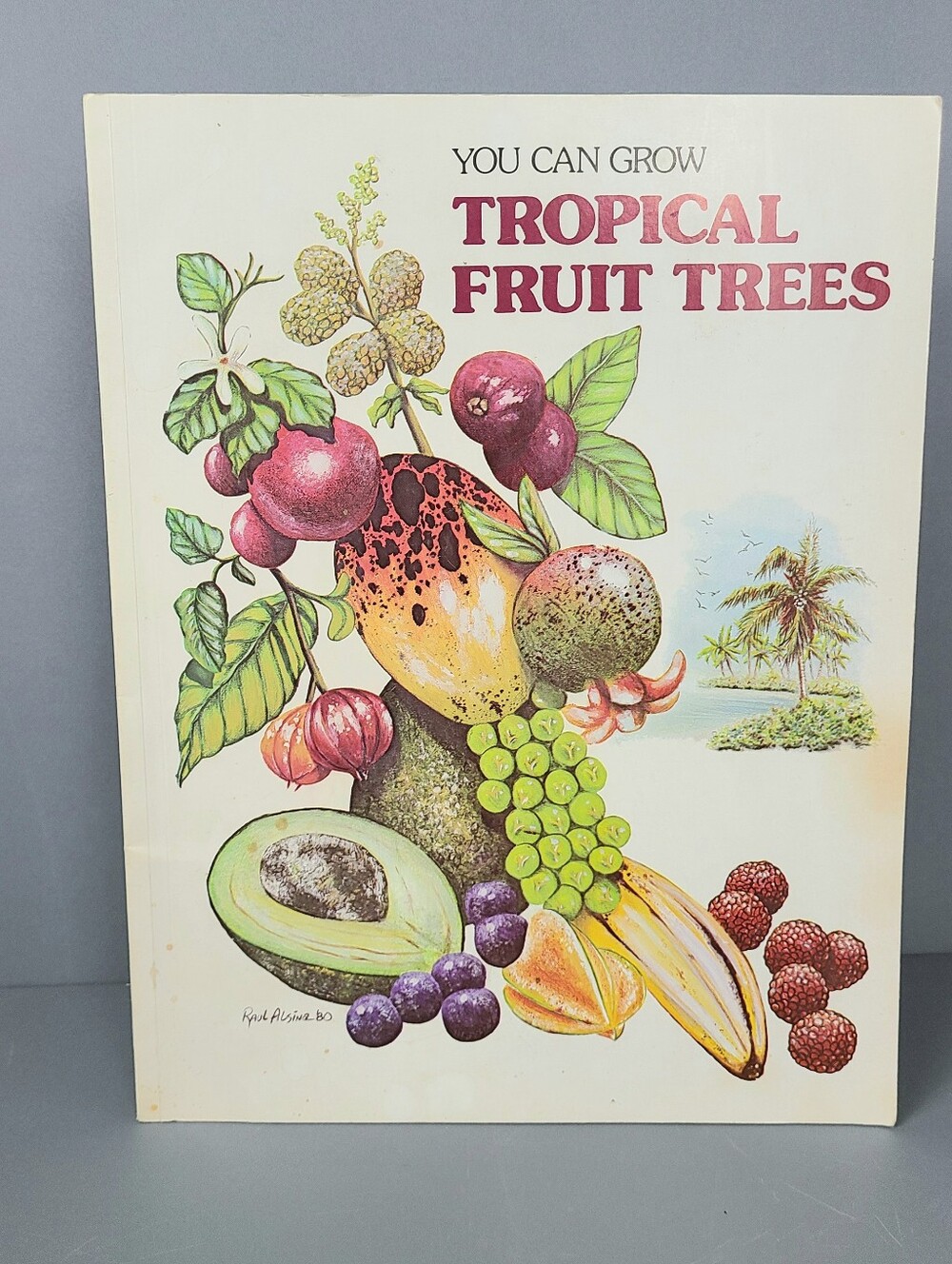 You Can Grow Tropical Fruit Trees Robert H. Mohlenbrock 1980 Vintage Book